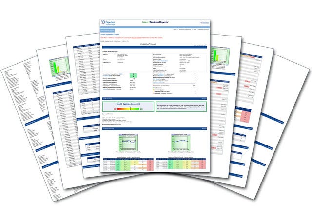 BI Report Example